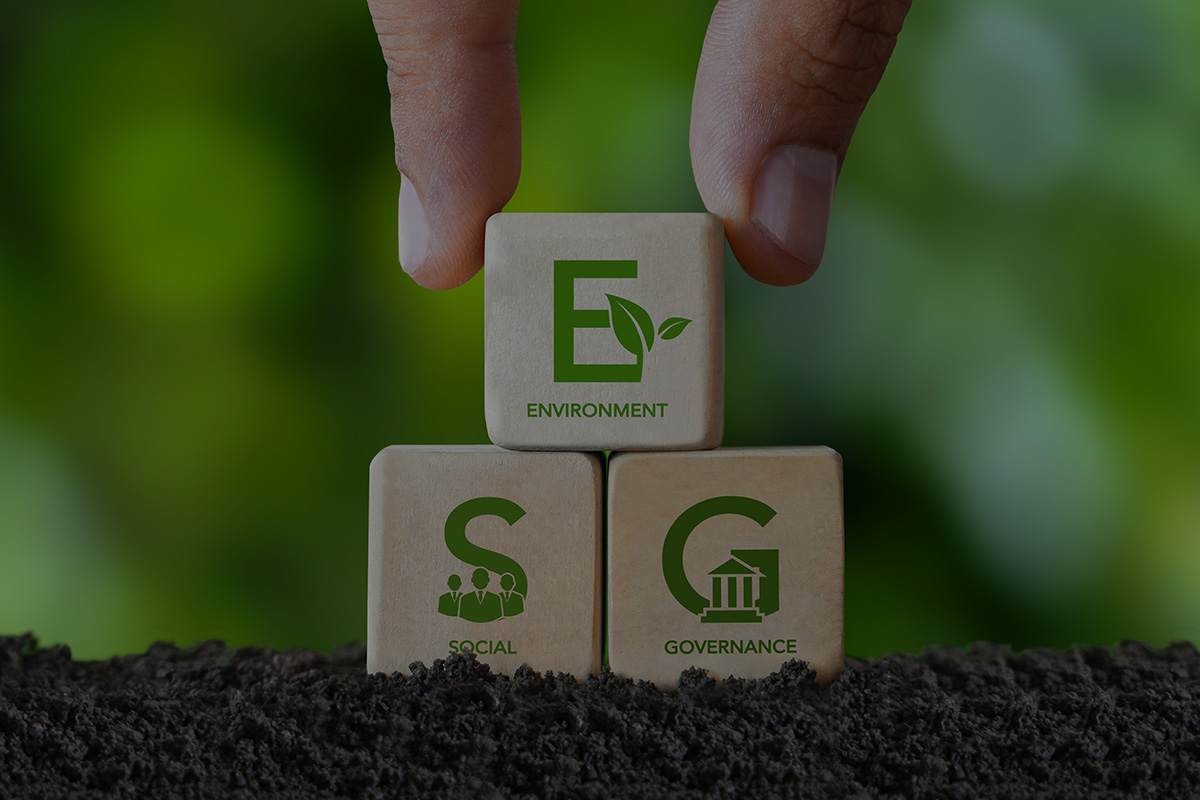Eco-friendly Edge, Competitive Advantage